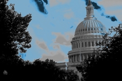 Washington DC Capital View