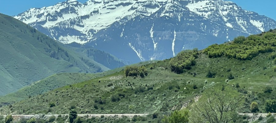 A Mindful Christmas large