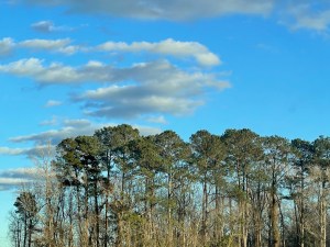 Our Parkinson's Awareness Needs No Added Reminder